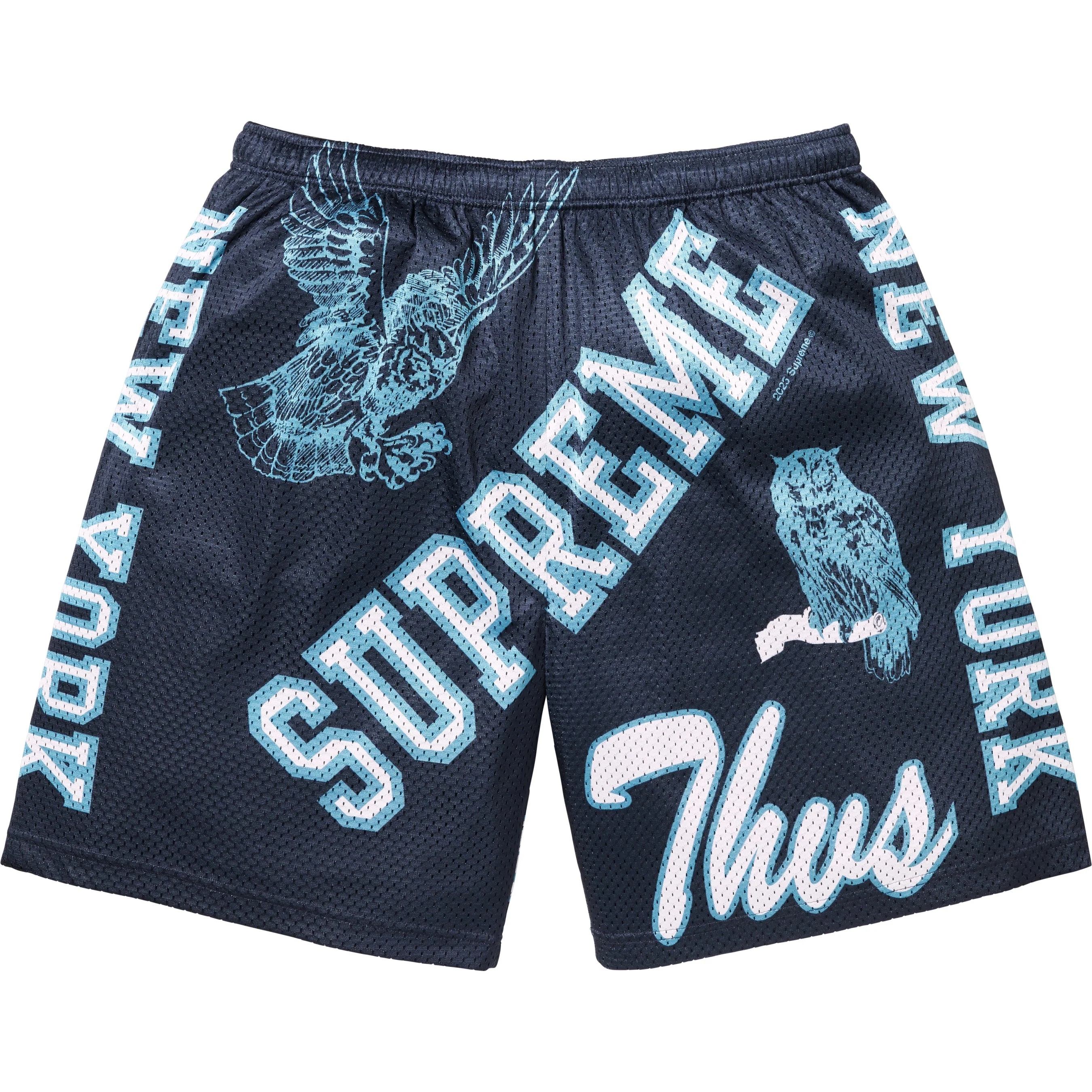 Varsity Mesh Short view 4
